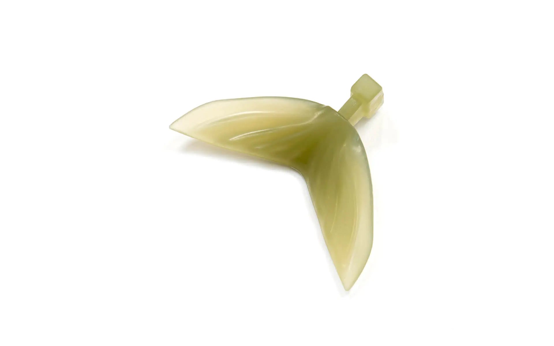 TINY KLASH STOCK TAIL